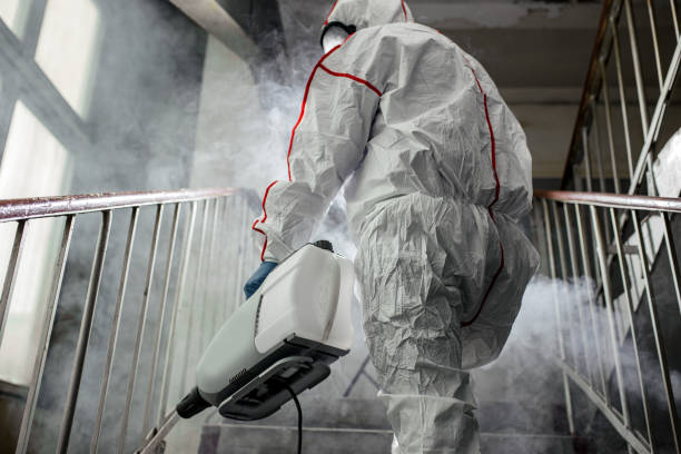 Mold Removal for HVAC Installations in Maxwell, CA